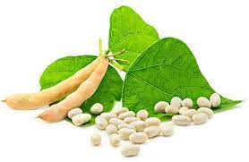 Interactive Book by Maria UA - Ourboox.com