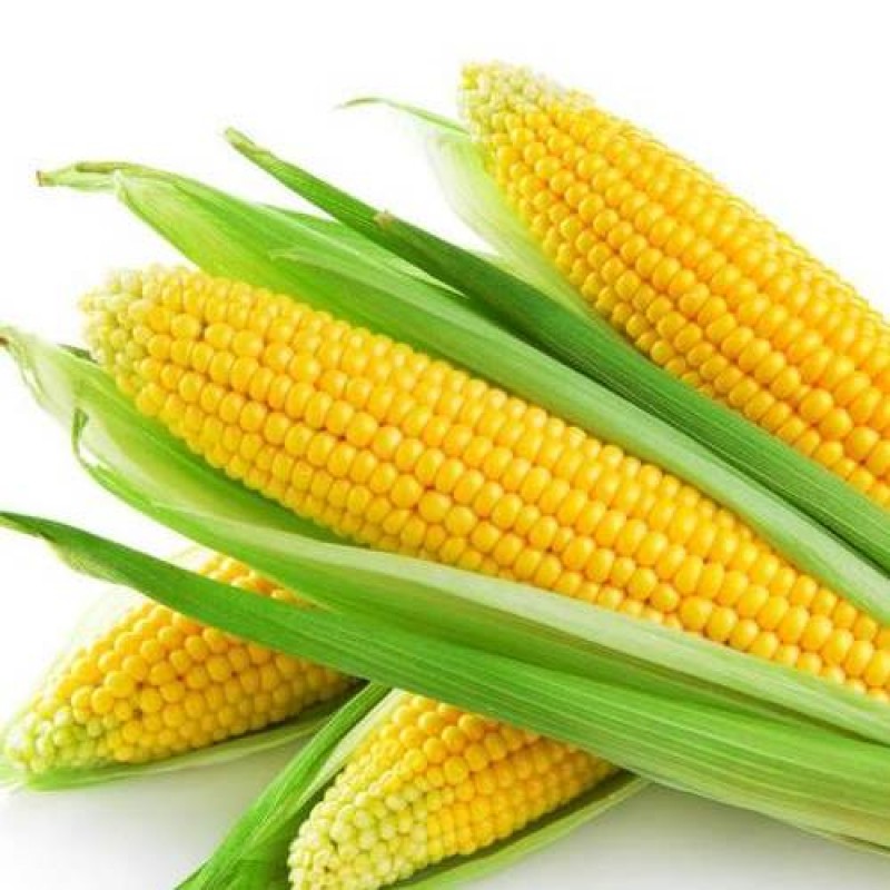 Interactive Book by Maria UA - Ourboox.com