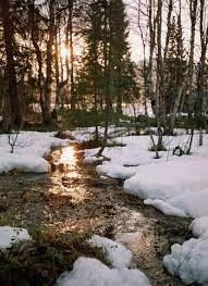 ВЕСНЯНОЧКА (від групи 1ОДП) by Лариса  - Ourboox.com