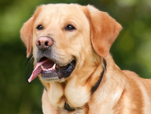 You and I by yael - Ourboox.com