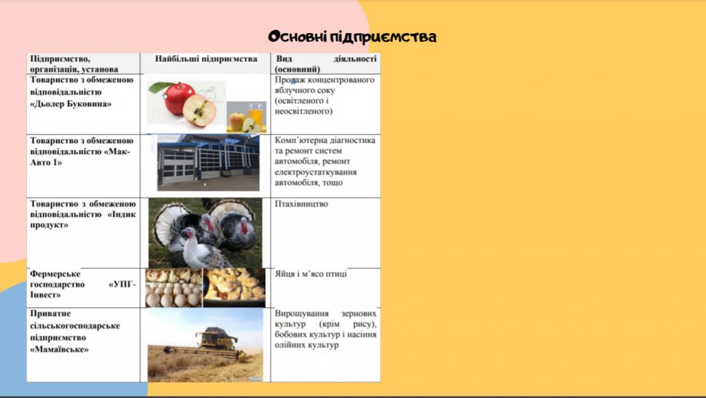 Мамаївська ТГ by Zmiyovsky Roman - Ourboox.com