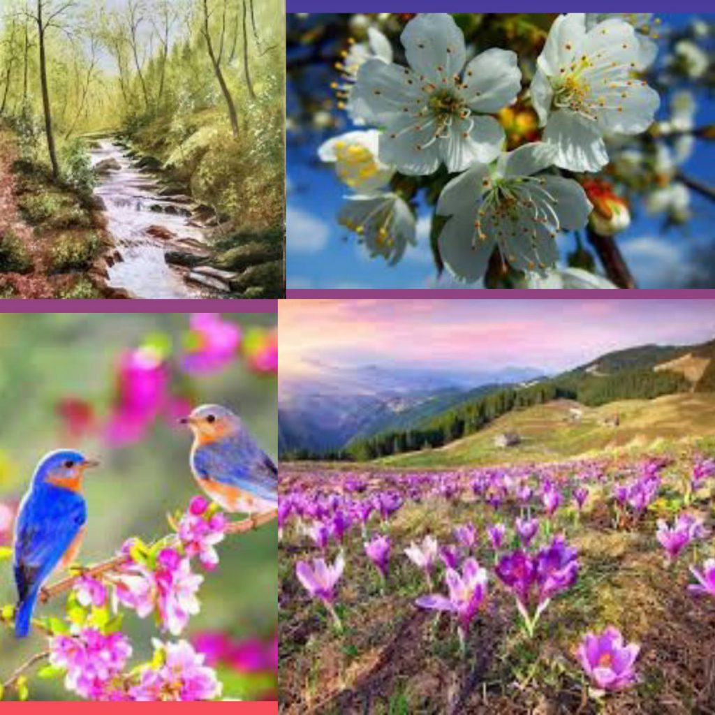 ВЕСНЯНОЧКА (від групи 1ОДП) by Лариса  - Ourboox.com