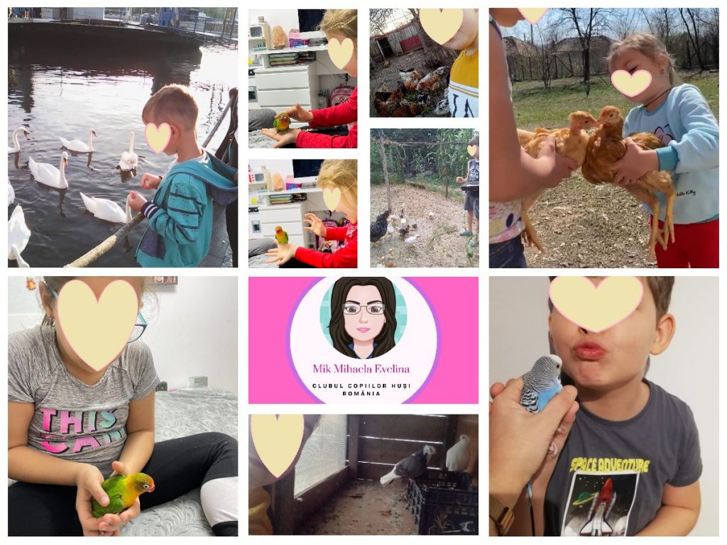 DOĞA SEVGİMİZ(KUŞ DOSTLARIMIZ) by Nagihan Çalğan - Illustrated by Biz doğayı seviyoruz. Doğadaki herşeyi sevdiğimiz gibi... Kuşlar gibi uçamasakta hayallerimiz kuşların kanadında uçuyor özgürce...İşte bizim doğa sevgimiz.. İşte bizim kuş sevgimiz...We love nature. Just like we love everything in nature... Even though we can