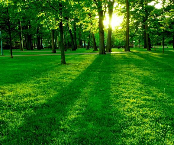 قصة الدبدوب والألوان by ebtehal hamdan - Illustrated by ابتهال - Ourboox.com