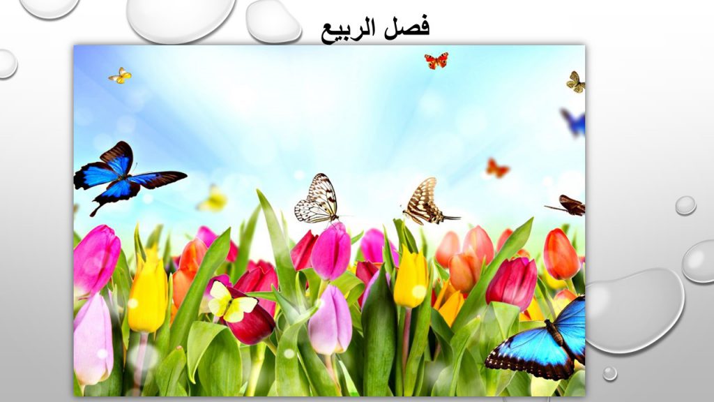 الفصول الاربعة by khamees - Ourboox.com