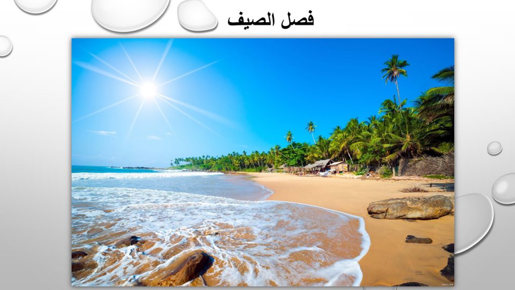 الفصول الاربعة by khamees - Ourboox.com