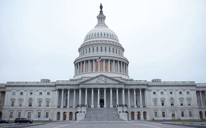 Branches of Government by Devon Roberts - Ourboox.com