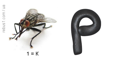 Портфоліо Галунки Марії та Шевчук Наталії на тему: “Чарівний світ професій” by Halunka Maria - Ourboox.com