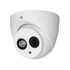 מושיק השומר והצלוכל המצוי