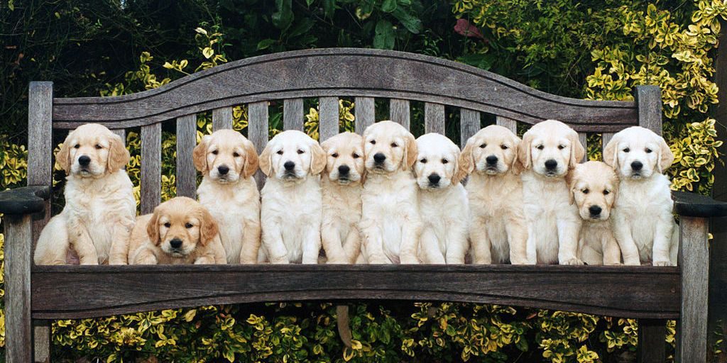 kid by noa bakshi - Ourboox.com