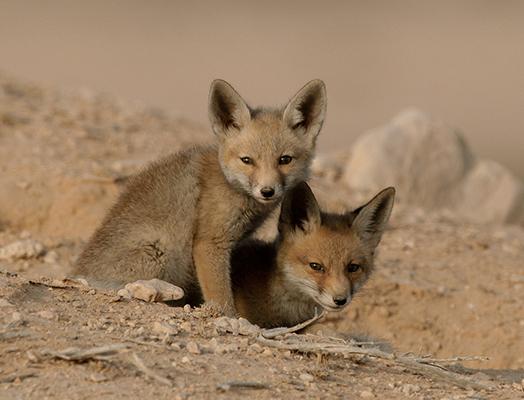 my first book by eilam yehuda - Ourboox.com