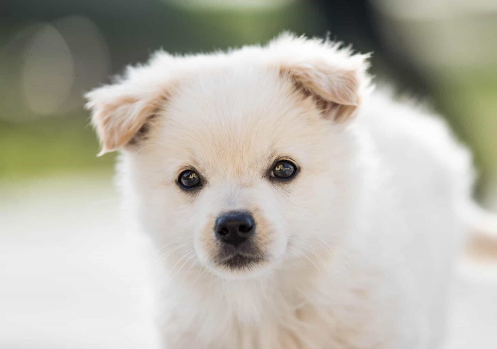 My Book by Roy - Ourboox.com