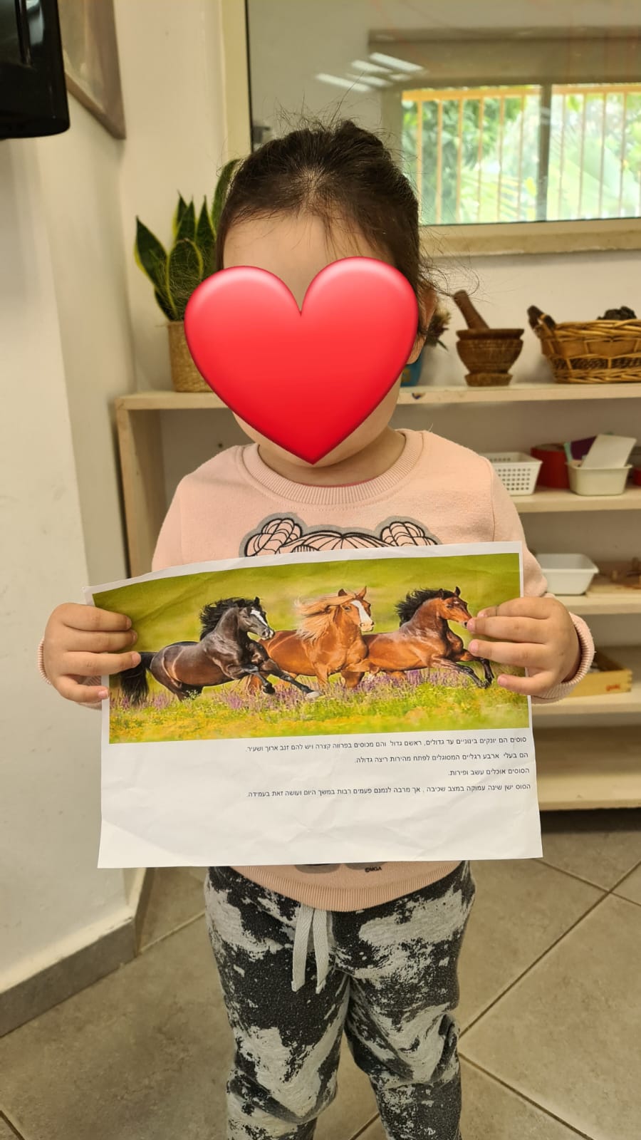 חיות אהובות- גן אפיק by meitargur - Ourboox.com