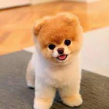 Smile book by Tara - Ourboox.com