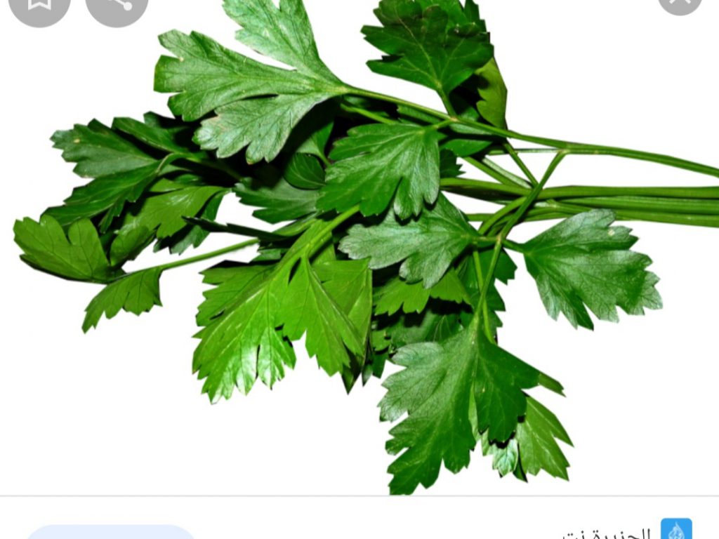 طرق تحضير سلطه الخضار by enas abu srhan - Ourboox.com