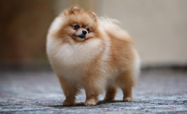 BOOK work by alon - Ourboox.com