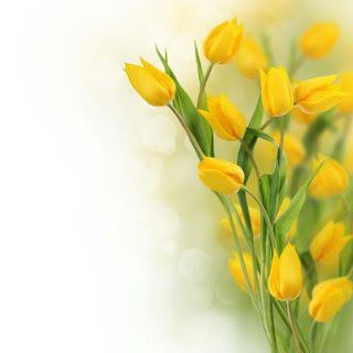 omama by omama kurdi - Ourboox.com