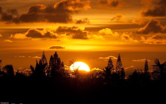 Bilmiyordum, Buğulu ekinlerdeki taze düşü. Ve tan yerinde gerinen billur öpüşü. Bilmiyordum, Kovanların petek petek saadetle dolduğunu. Gün doğunca gecenin kaybolduğunu Bilmiyordum, gökyüzünün bu kadar mavi olduğunu Bilmiyordum…