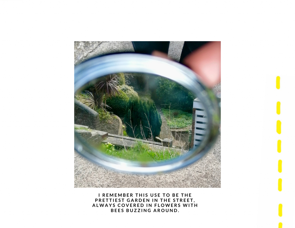 Two Roads Walked by Amber Bradley - Ourboox.com