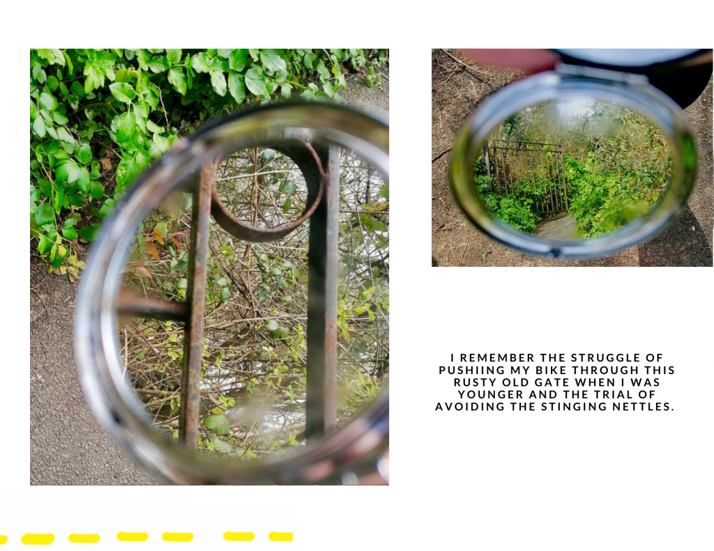 Two Roads Walked by Amber Bradley - Ourboox.com