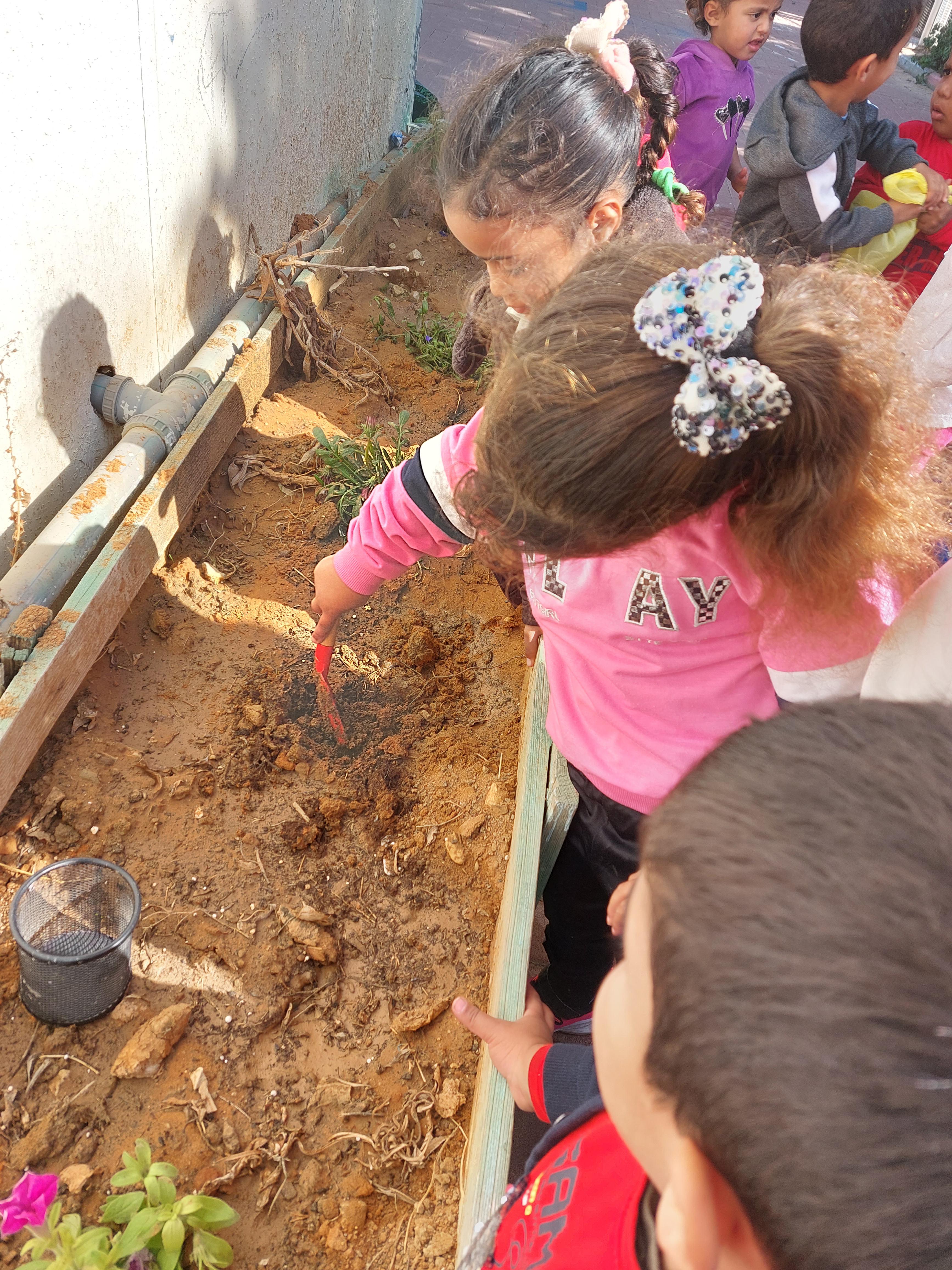 الزراعة by fadwa - Illustrated by روضة البراءة - Ourboox.com