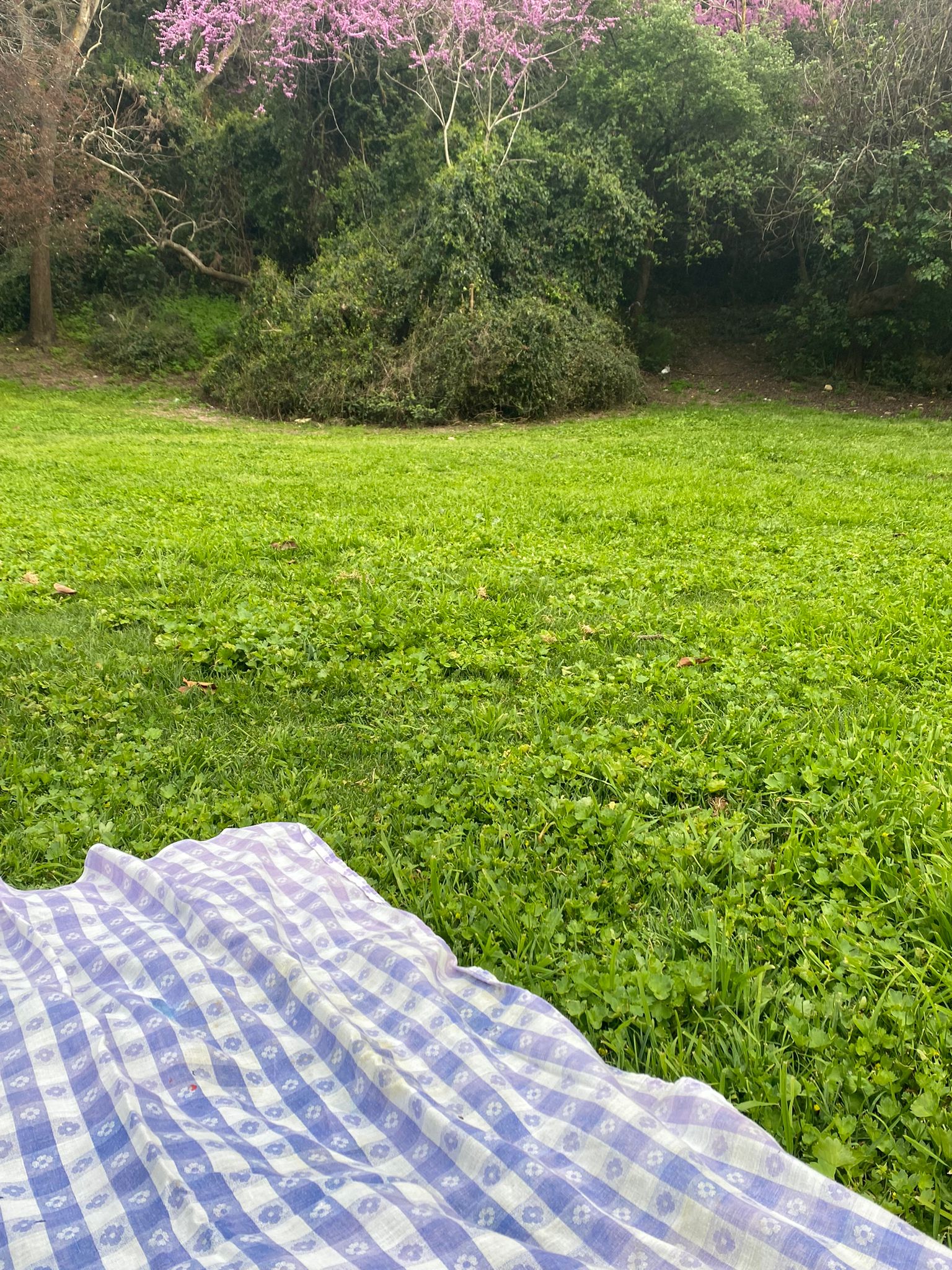 אשמת הכוכבים by keren filipovsky - Illustrated by קרן פיליפובסקי - Ourboox.com