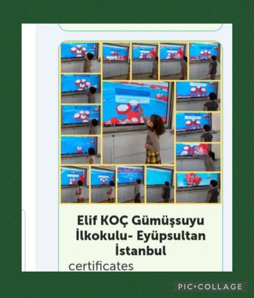 CAT eTwinning Project eSafety eBook by Görkem Doğan - Ourboox.com