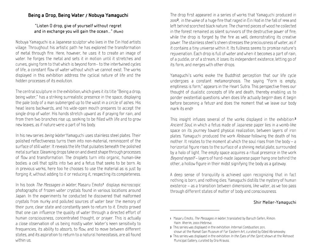 being a drop being water by yael grossman - Ourboox.com