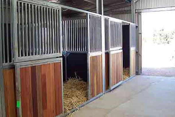 היכן גרות החיות by maggie mekonen - Ourboox.com