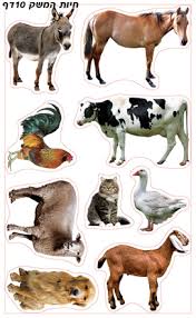 היכן גרות החיות by maggie mekonen - Ourboox.com