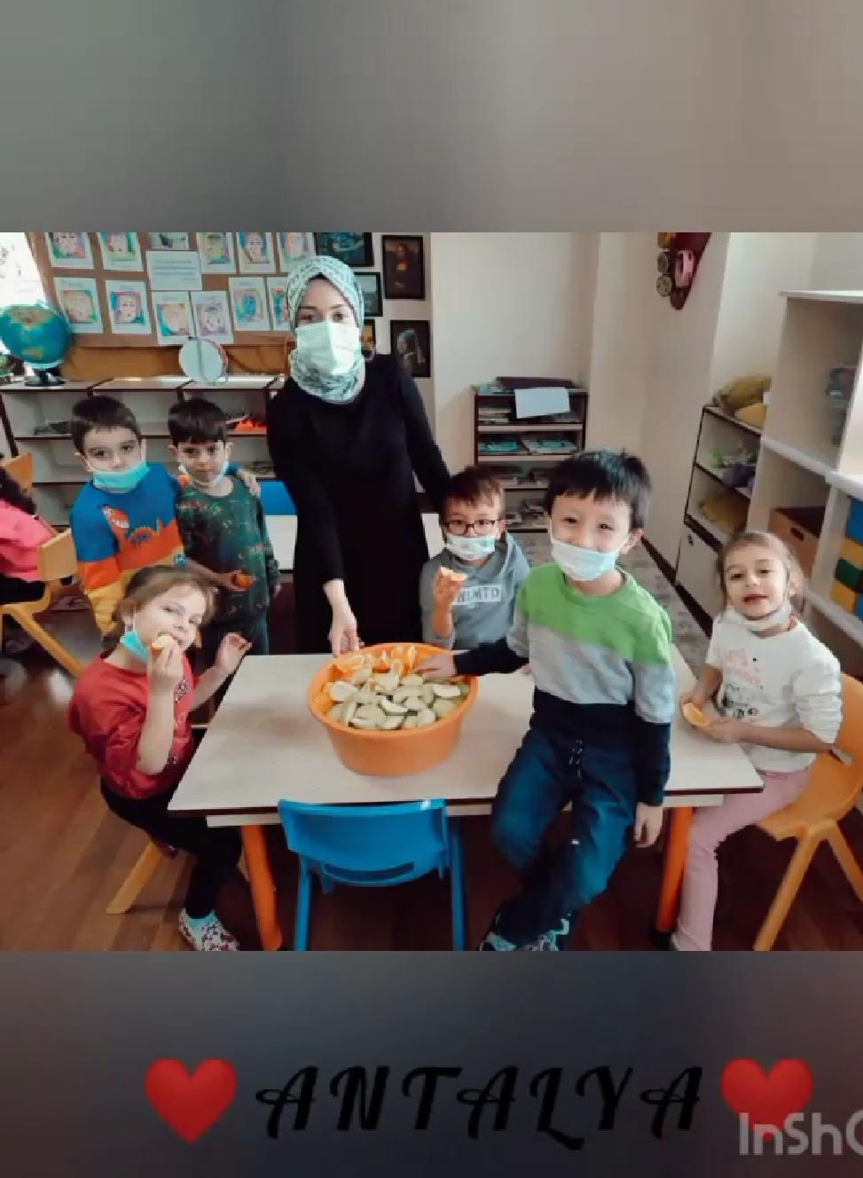 Aralık Ayı Akdeniz ve Karadeniz Bölgeleri Tanıtımları by Tuğçe Saniye Çoban - Ourboox.com