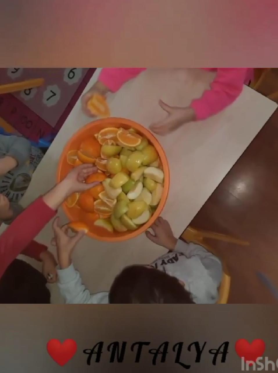 Aralık Ayı Akdeniz ve Karadeniz Bölgeleri Tanıtımları by Tuğçe Saniye Çoban - Ourboox.com