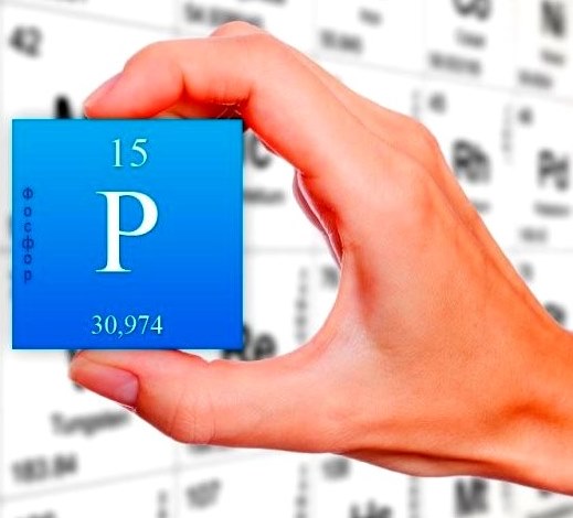 ФОСФОР by Ilona - Ourboox.com