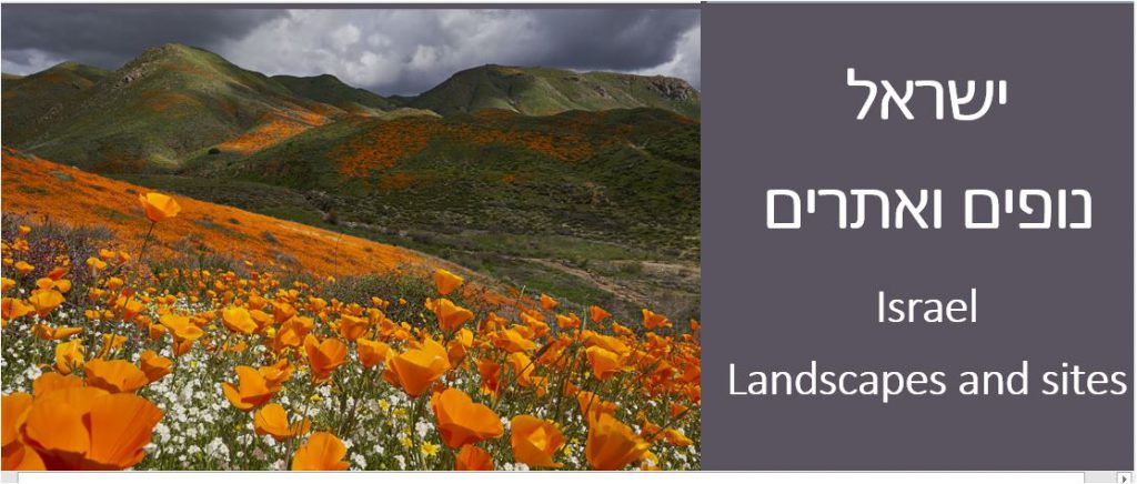 Israel in Photos by Dana Fischer Shachor - Illustrated by Dana Fischer Shachor - Ourboox.com