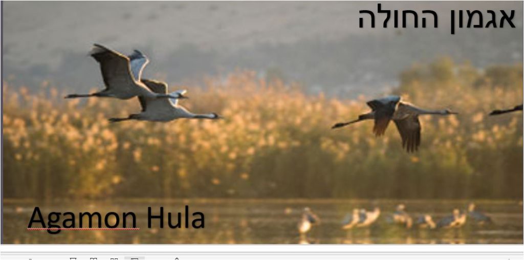 Israel in Photos by Dana Fischer Shachor - Illustrated by Dana Fischer Shachor - Ourboox.com