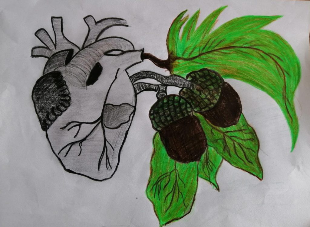 Meşe Palamutu by Nursen Coşkun - Ourboox.com