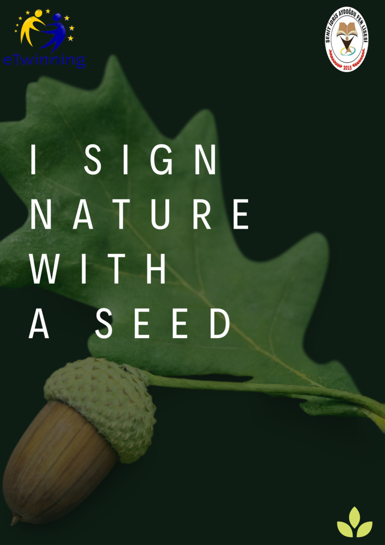 Meşe Palamutu by Nursen Coşkun - Ourboox.com