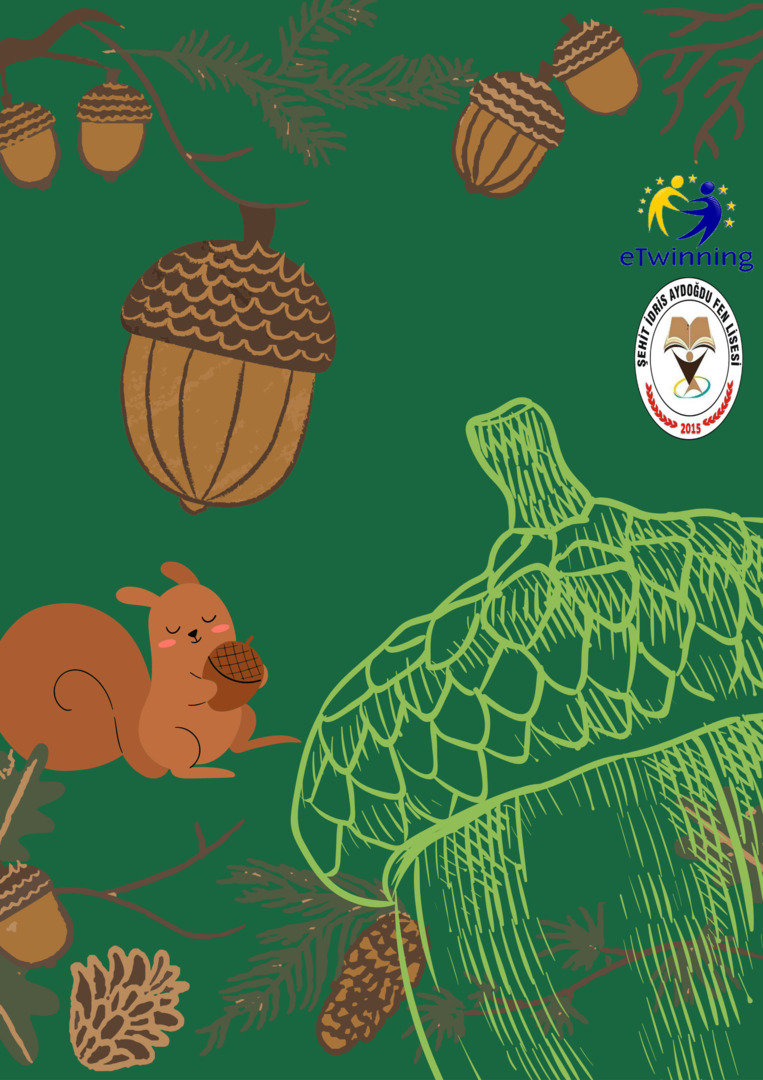 Meşe Palamutu by Nursen Coşkun - Ourboox.com