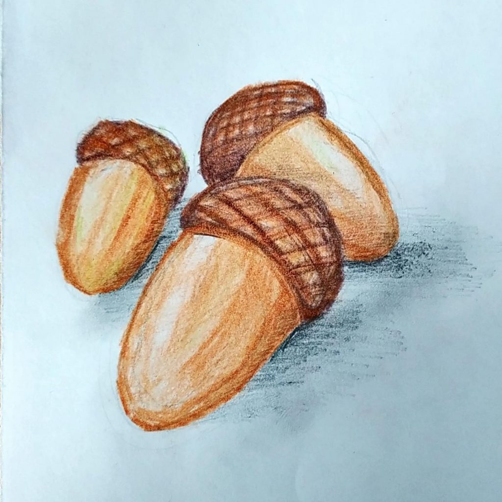 Meşe Palamutu by Nursen Coşkun - Ourboox.com