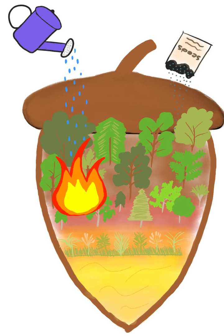 Meşe Palamutu by Nursen Coşkun - Ourboox.com