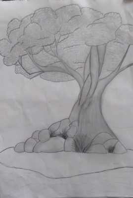 Meşe Palamutu by Nursen Coşkun - Ourboox.com