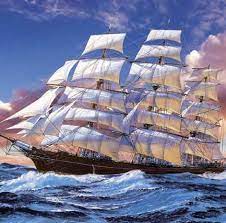 הכריש האכזר by natalie shamay - Illustrated by מיכאל ודויד חורש - Ourboox.com