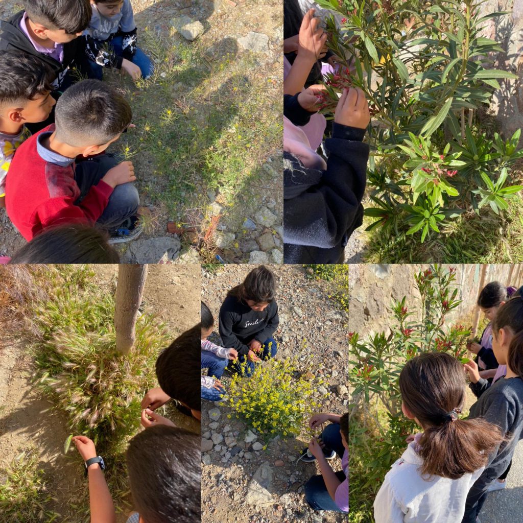 Çevre İnceleme e Kitap by Hasan - Ourboox.com