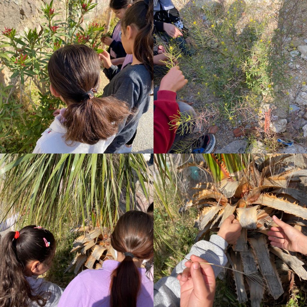 Çevre İnceleme e Kitap by Hasan - Ourboox.com