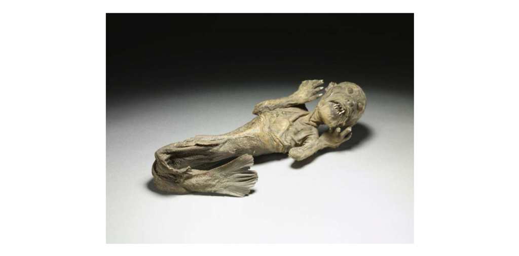 My Favorite Things by Mel Rosenberg - מל רוזנברג - Ourboox.com