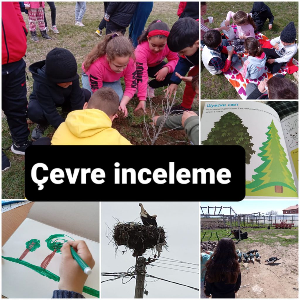Çevre İnceleme e Kitap by Hasan - Ourboox.com