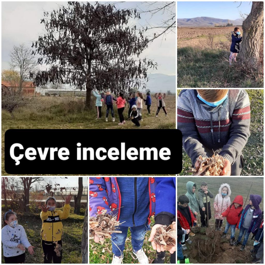 Çevre İnceleme e Kitap by Hasan - Ourboox.com