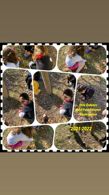 Çevre İnceleme e Kitap by Hasan - Ourboox.com