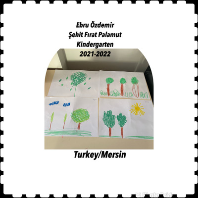 Çevre İnceleme e Kitap by Hasan - Ourboox.com