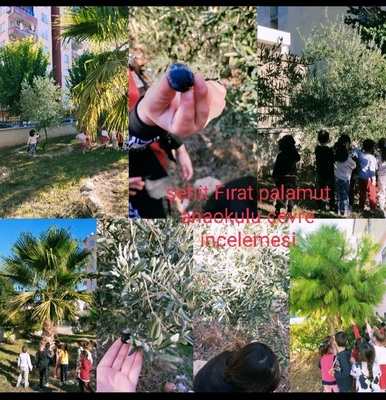 Çevre İnceleme e Kitap by Hasan - Ourboox.com